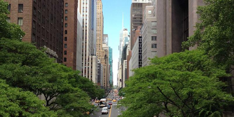 Ngày hội Đọc sách 2025: Khơi dậy tình yêu văn học từ những trang sách đầu tiên