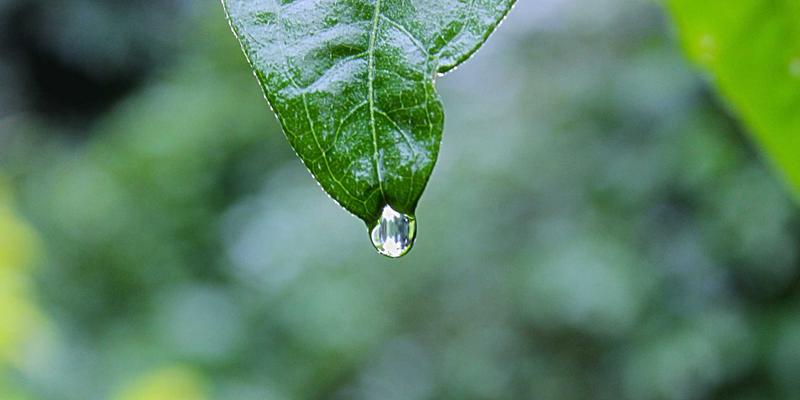 Thông báo tuyển sinh lớp 1 năm học 2026-2027: Chỉ tiêu và điều kiện đăng ký